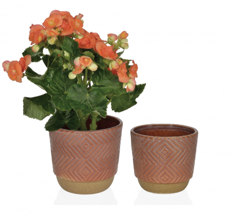 Cache-pot de couleur terracotta